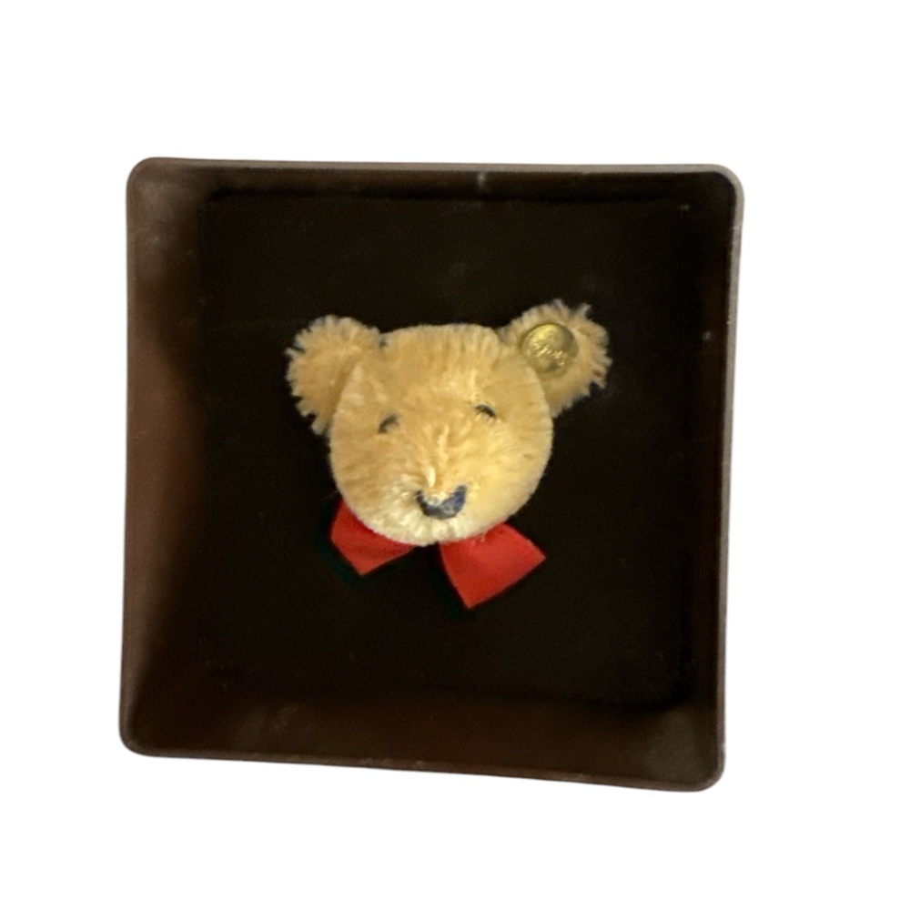 Vintage Steiff Mohair Teddy pin in box